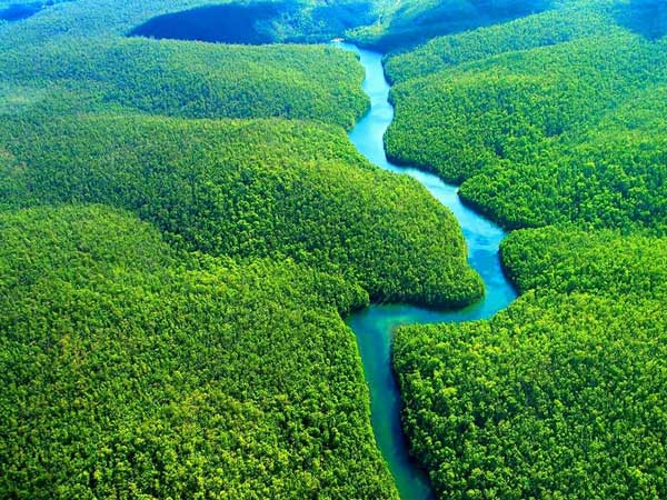 Sông Amazon dài nhất Châu Mỹ