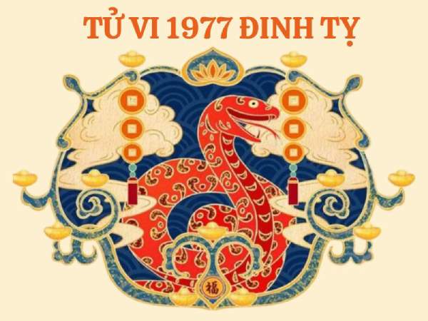 Vận trình tử vi tuổi Đinh Tỵ 20/12/2025 có gì đáng lưu ý?